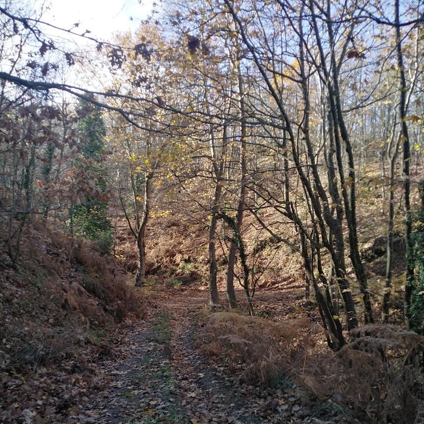 Τελέθριο Βόρεια Εύβοια