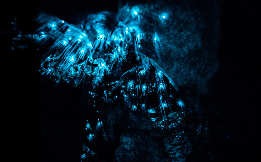 Σπήλαιο Waitomo Νέα Ζηλανδία