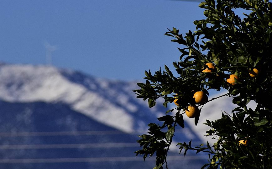 Καιρός: Τσουχτερό κρύο σε όλη τη χώρα