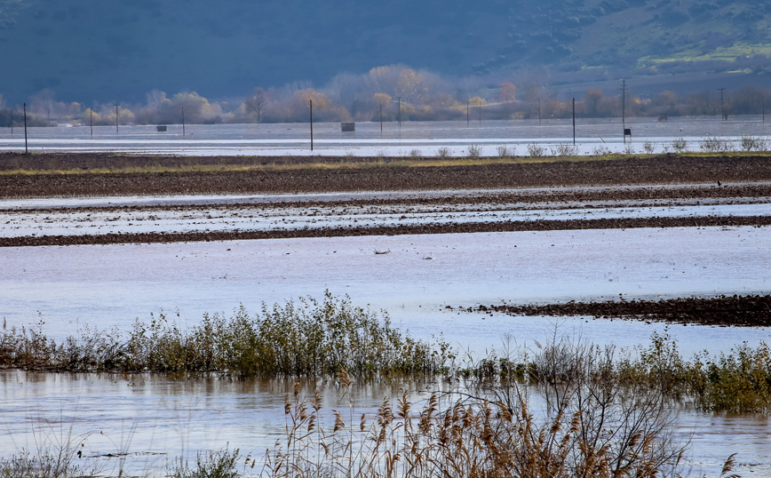 υπερχείλιση Πηνειού ποταμού από την κακοκαιρία