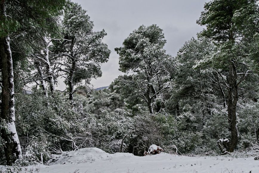Κακοκαιρία Ελπίδα: Χιόνια στην Αττική &#8211; Ντύθηκαν στα λευκά Πάρνηθα, Πεντέλη και Υμηττός