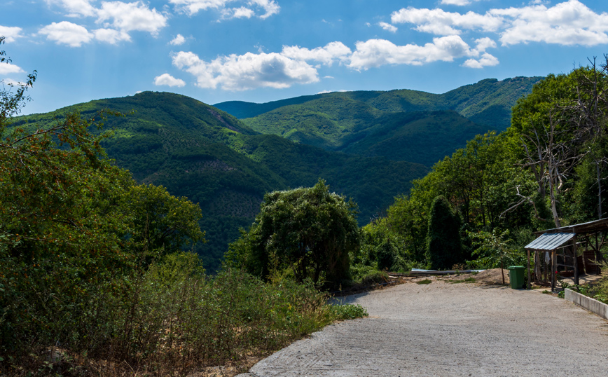 Η φύση στο Πάικο γύρω από το χωριό Καστανερή Η φύση στο Πάικο γύρω από το χωριό Καστανερή