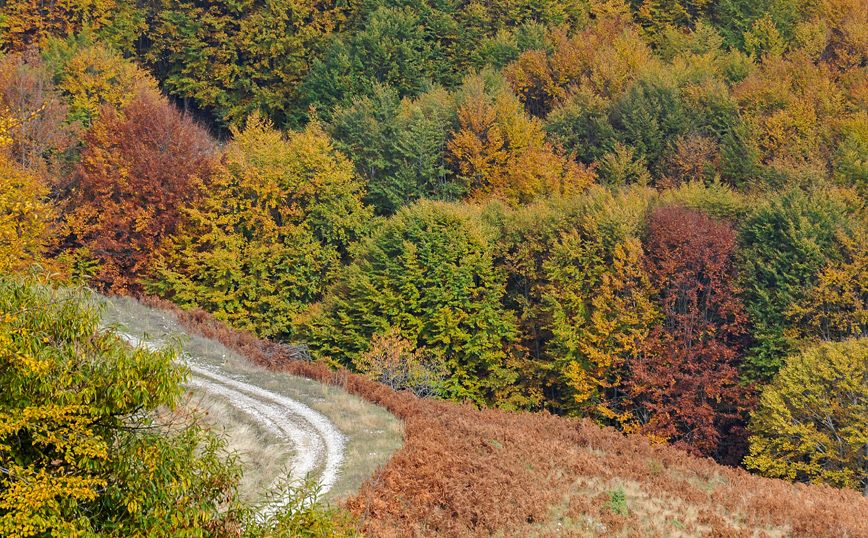 Φθινοπωρινό σκηνικό στο χωριό Καστανερή Φθινοπωρινό σκηνικό στο χωριό Καστανερή