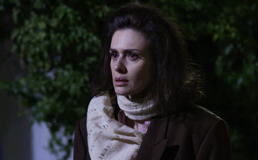 Άγριες Μέλισσες Άγριες Μέλισσες