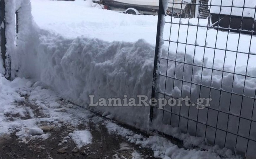 Πάγωσε η θάλασσα στην Αταλάντη Πάγωσε η θάλασσα στην Αταλάντη