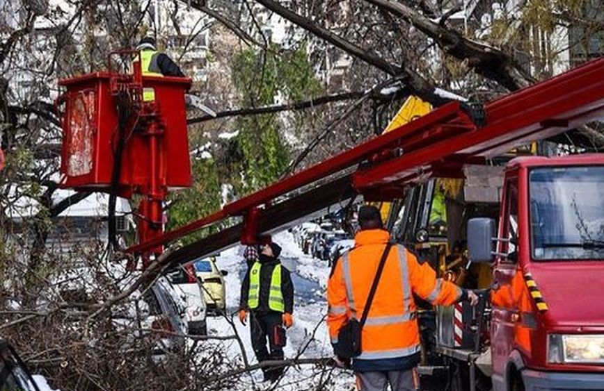 Αποζημιώσεις από τον δήμο Αθηναίων σε ιδιοκτήτες οχημάτων που υπέστησαν ζημιές από πτώσεις δέντρων