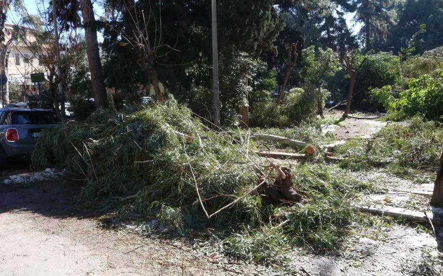 Πάνω από 50 κλήσεις στην Πυροσβεστική για προβλήματα στην Αττική λόγω των ισχυρών ανέμων