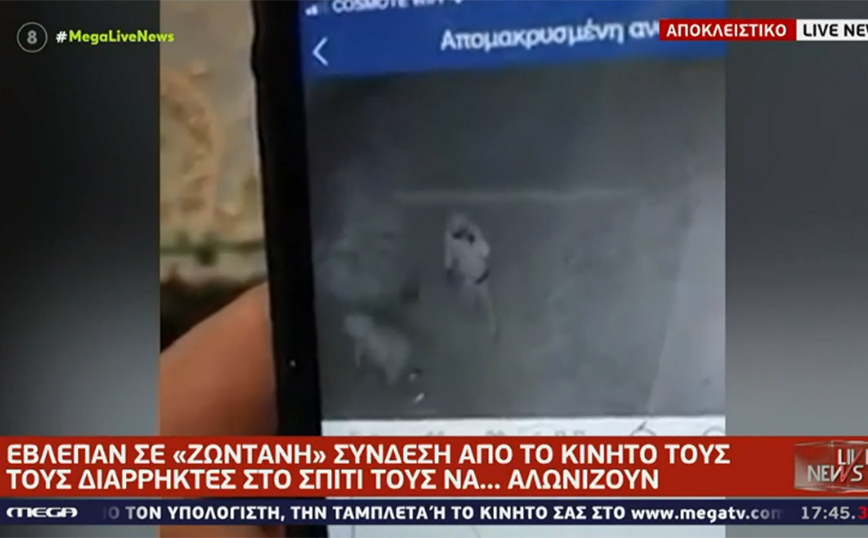 Θάλεια Ζαγναφέρη: Είδε live να της αδειάζουν το σπίτι – «Βρήκαν ότι πολύτιμο είχαμε και έφυγαν μέσα σε 4-5 λεπτά»