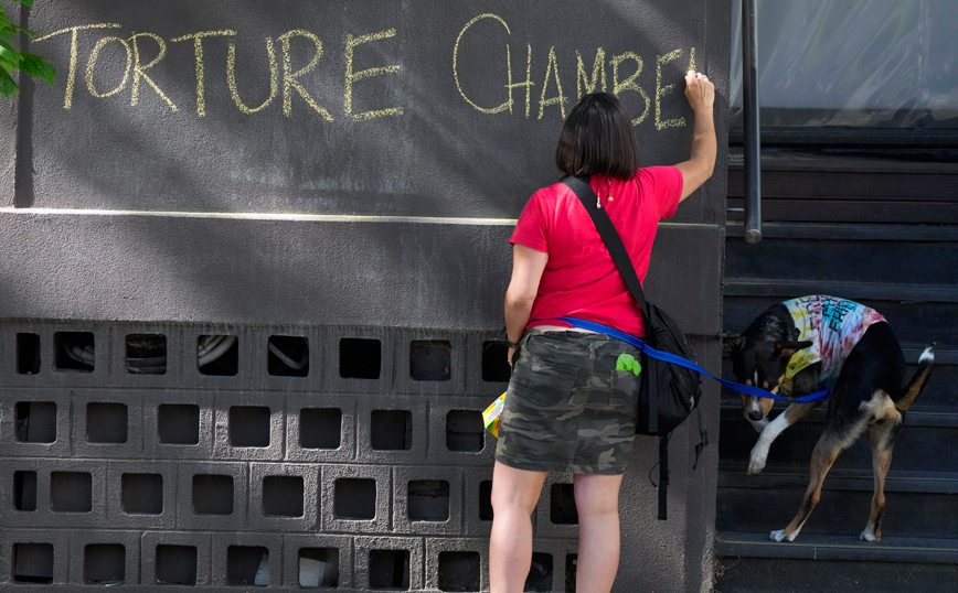 Νόβακ Τζόκοβιτς Νόβακ Τζόκοβιτς
