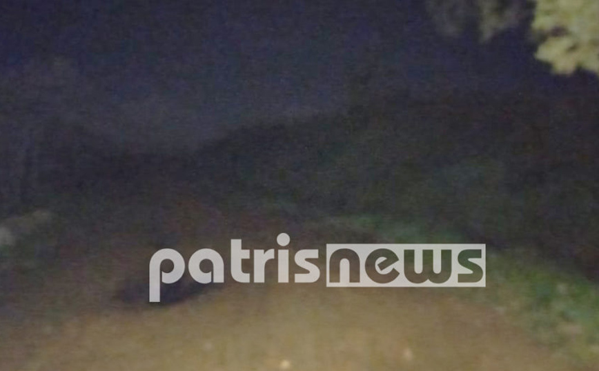 Τραγικός επίλογος στο θρίλερ της εξαφάνισης 32χρονου στην Ηλεία – Βρέθηκε απαγχονισμένος