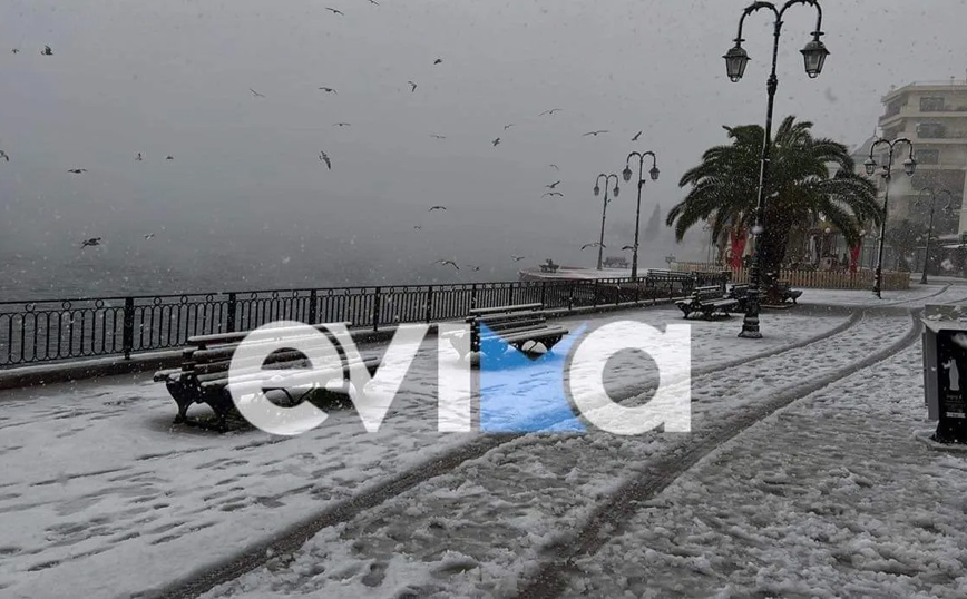 Στα λευκό κλοιό η Χαλκίδα Στα λευκό κλοιό η Χαλκίδα