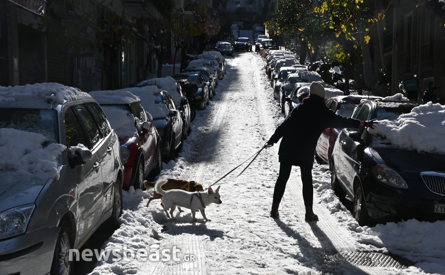 Κέντρο Αθήνας &#8211; Φωτορεπορτάζ του Newsbeast: Πεσμένα δέντρα και κλαδιά, ολισθηροί δρόμοι και πεζοδρόμια