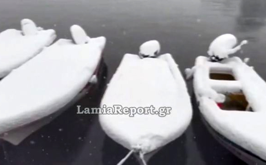 Τα παράλια της Φθιώτιδας ντύθηκαν στα λευκά – Το χιόνι κάλυψε και τις βάρκες
