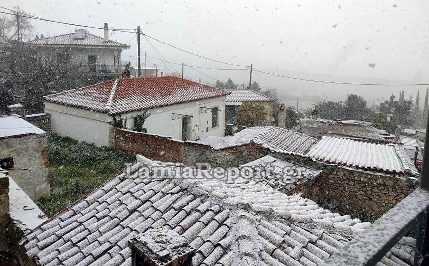 Στα λευκά όλα τα παράλια της Φθιώτιδας από τις Ράχες μέχρι την Αρκίτσα και τη Λάρυμνα Στα λευκά όλα τα παράλια της Φθιώτιδας από τις Ράχες μέχρι την Αρκίτσα και τη Λάρυμνα