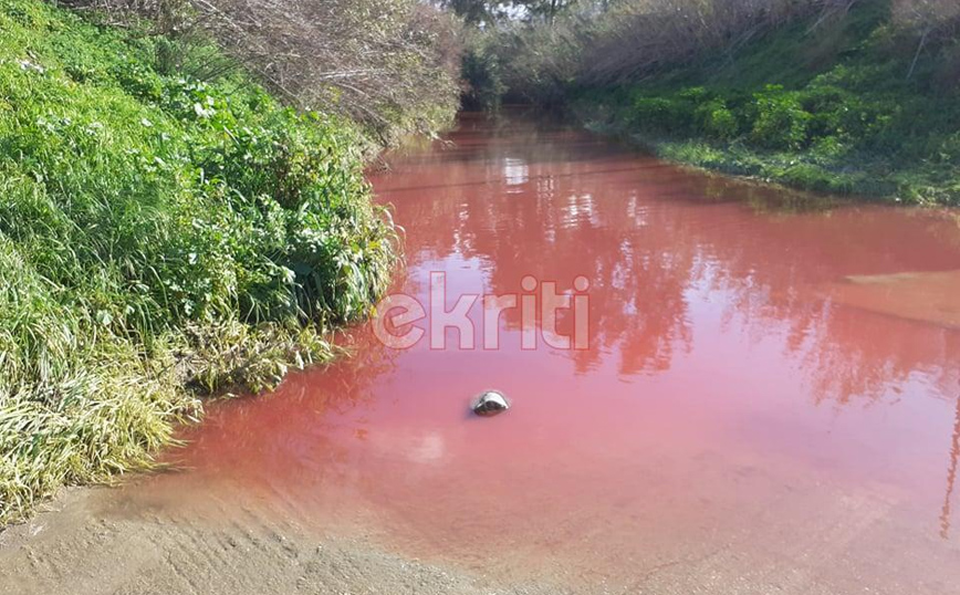 Ηράκλειο: Ο Γεροπόταμος βάφτηκε κόκκινος Ηράκλειο: Ο Γεροπόταμος βάφτηκε κόκκινος