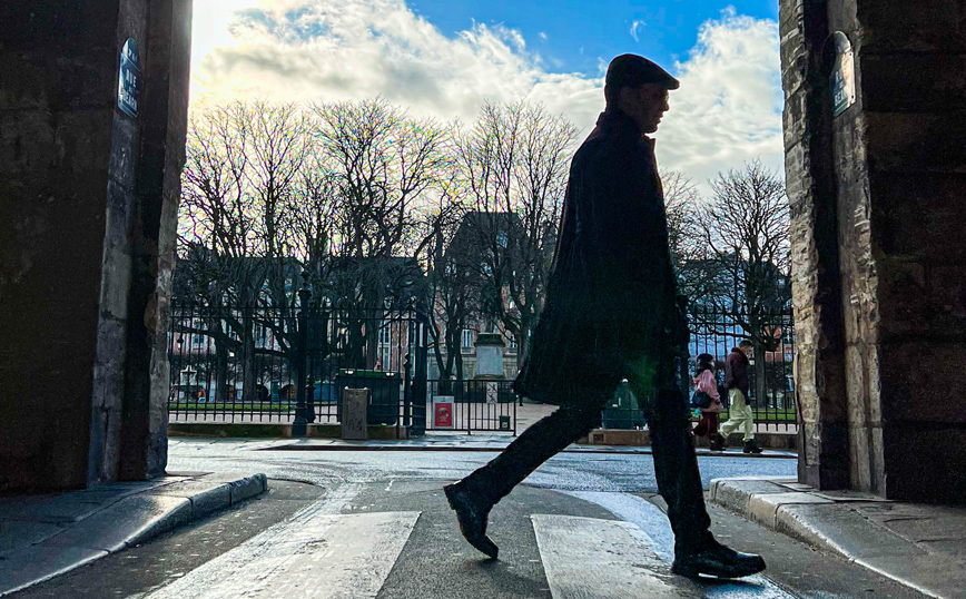 Η γη της ελιάς Η γη της ελιάς