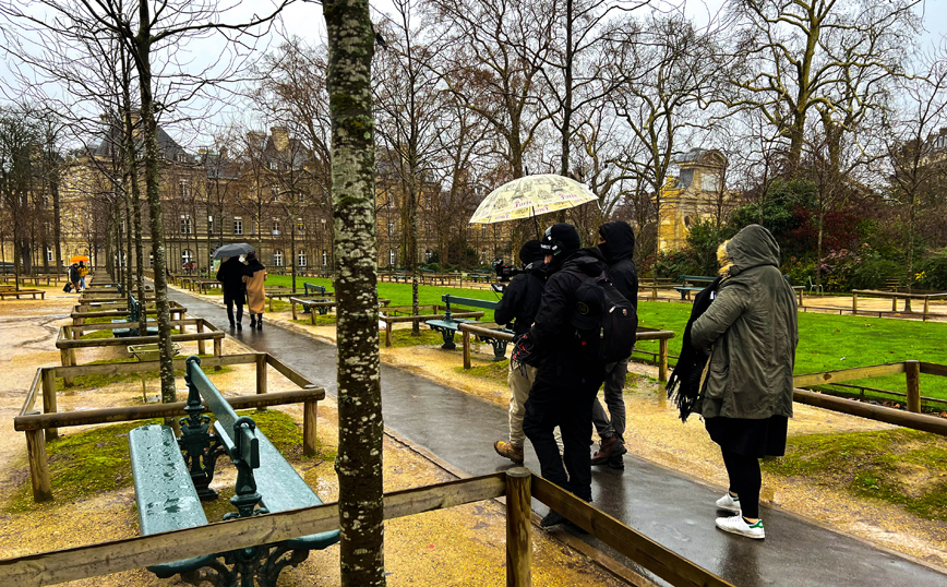 Η γη της ελιάς Η γη της ελιάς