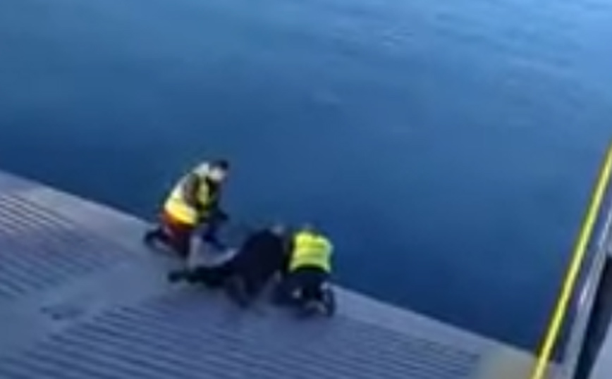 Καρέ – καρέ η διάσωση σκύλου από φέρι μποτ στη Σαλαμίνα
