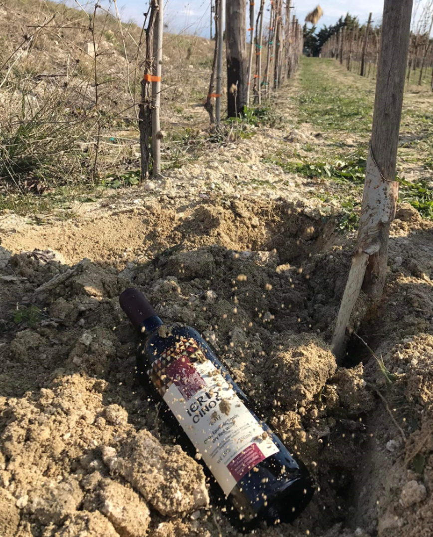 Φυτεύουν» μπουκάλια με κρασί σε οινοποιείο της Ιερισσού για παλαίωση στη Χαλκιδική Φυτεύουν» μπουκάλια με κρασί σε οινοποιείο της Ιερισσού για παλαίωση στη Χαλκιδική