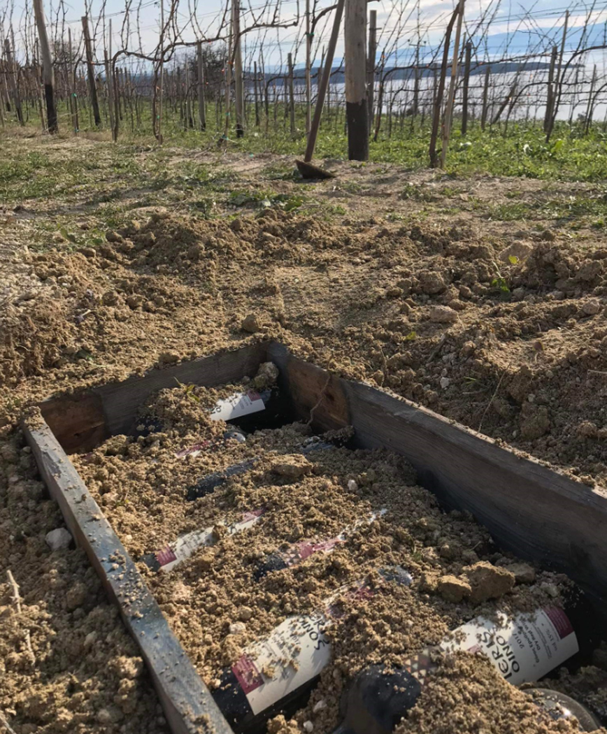 Φυτεύουν» μπουκάλια με κρασί σε οινοποιείο της Ιερισσού για παλαίωση στη Χαλκιδική Φυτεύουν» μπουκάλια με κρασί σε οινοποιείο της Ιερισσού για παλαίωση στη Χαλκιδική