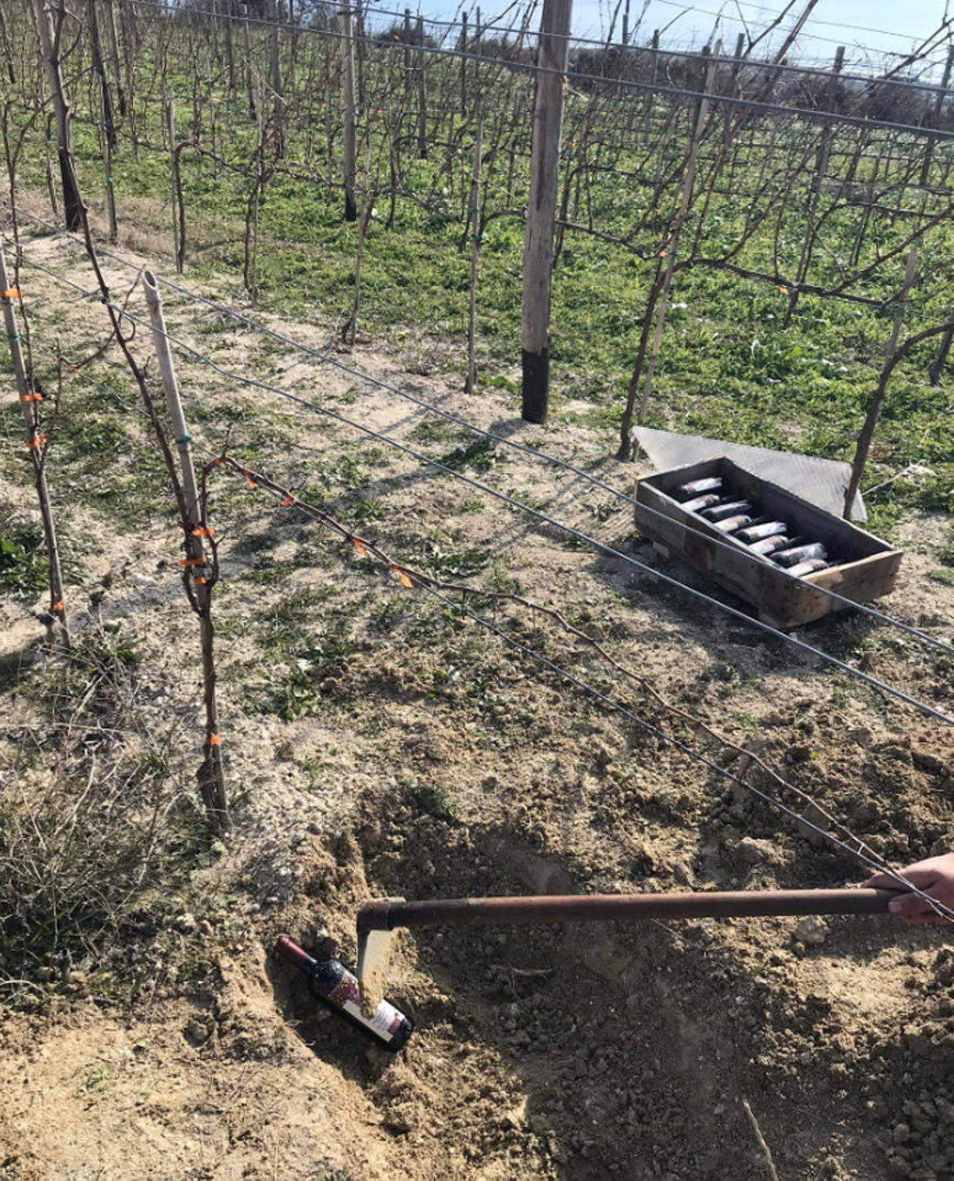 Φυτεύουν» μπουκάλια με κρασί σε οινοποιείο της Ιερισσού για παλαίωση στη Χαλκιδική Φυτεύουν» μπουκάλια με κρασί σε οινοποιείο της Ιερισσού για παλαίωση στη Χαλκιδική