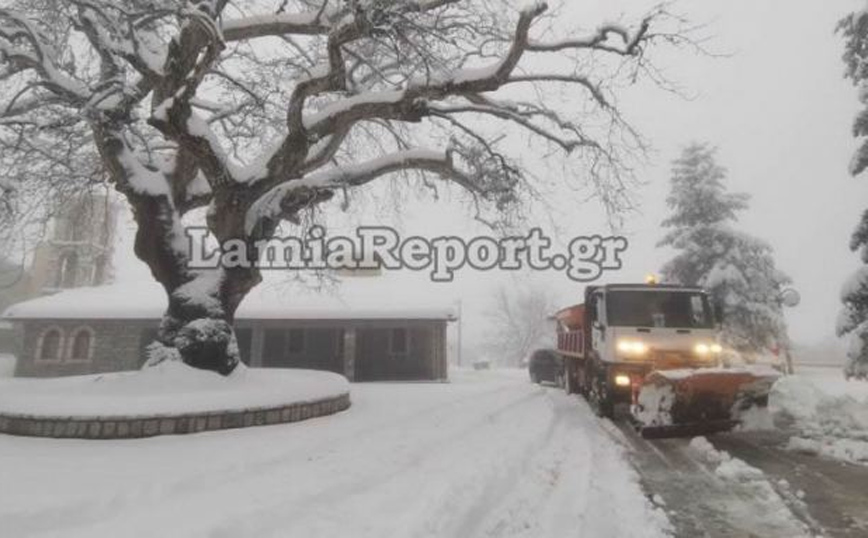 Κακοκαιρία Διομήδης: Τα ορεινά χωριά της Λαμίας θάφτηκαν στο χιόνι – Εντυπωσιακές εικόνες