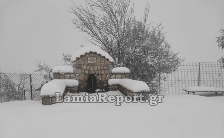 Θάφτηκαν στο χιόνι τα ορεινά χωριά της Λαμίας Θάφτηκαν στο χιόνι τα ορεινά χωριά της Λαμίας