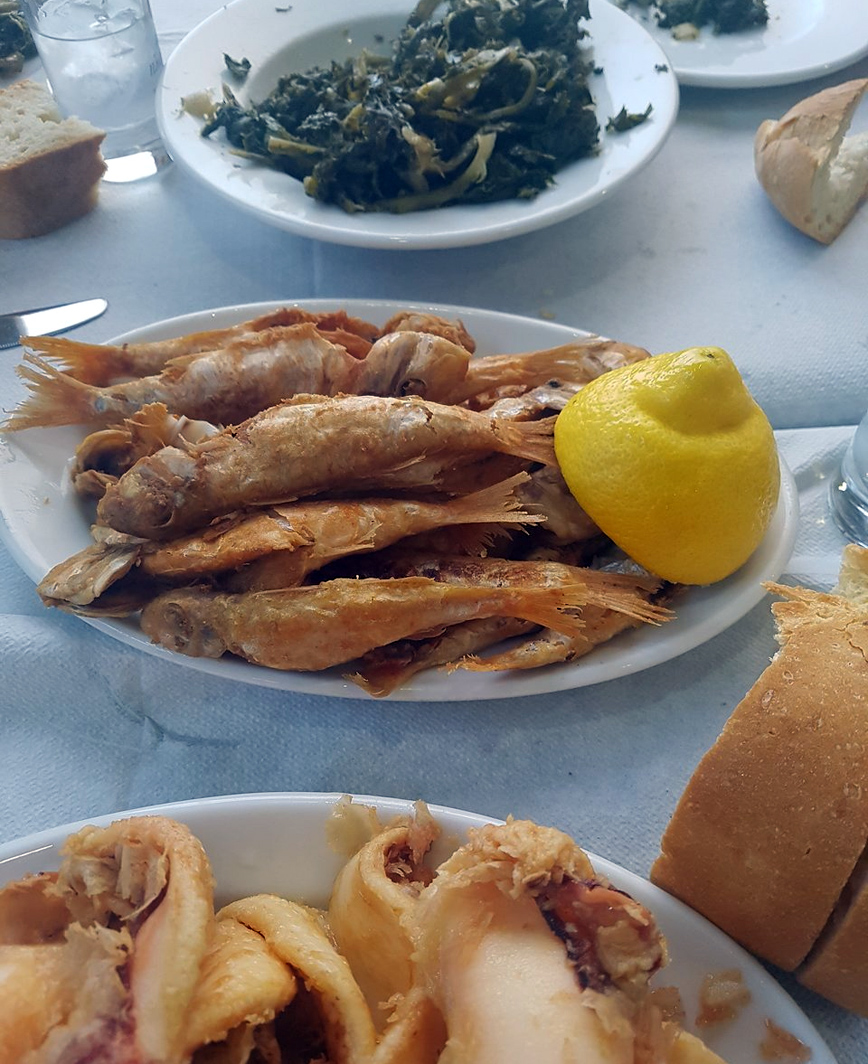 Ο Μόσχος Ο Μόσχος