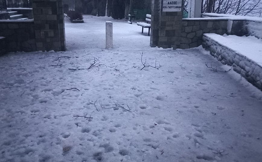 Στα λευκά, πρωί Τρίτης, τα ορεινά της Π.Ε. Λάρισας Στα λευκά, πρωί Τρίτης, τα ορεινά της Π.Ε. Λάρισας