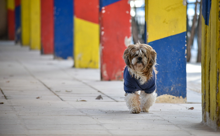 δήμος Αθηναίων πεζοδρόμια
