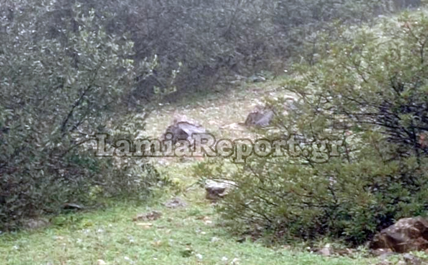 Ώρες αγωνίας στη Στυλίδα Ώρες αγωνίας στη Στυλίδα