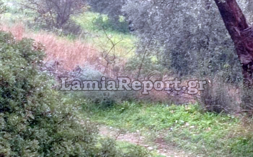 Ώρες αγωνίας στη Στυλίδα Ώρες αγωνίας στη Στυλίδα