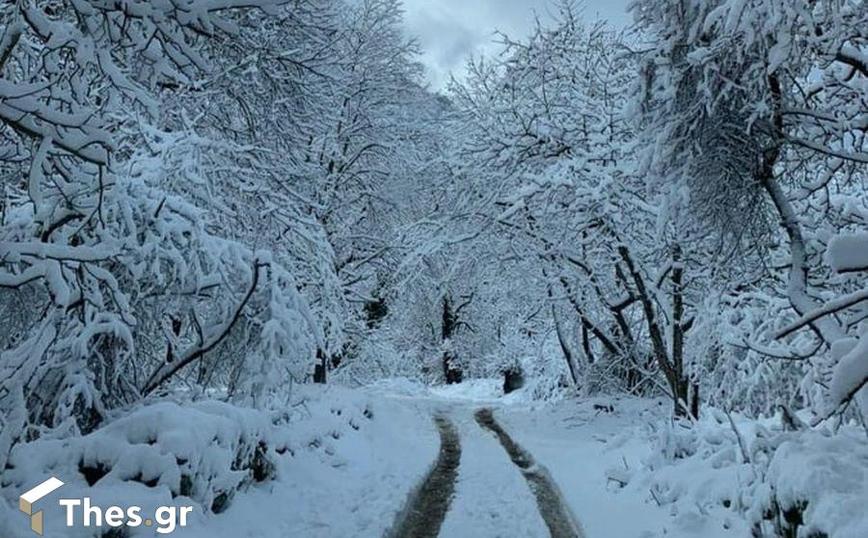 Θάσος: Μοναδικές εικόνες από πέντε χωριά που ντύθηκαν στα λευκά