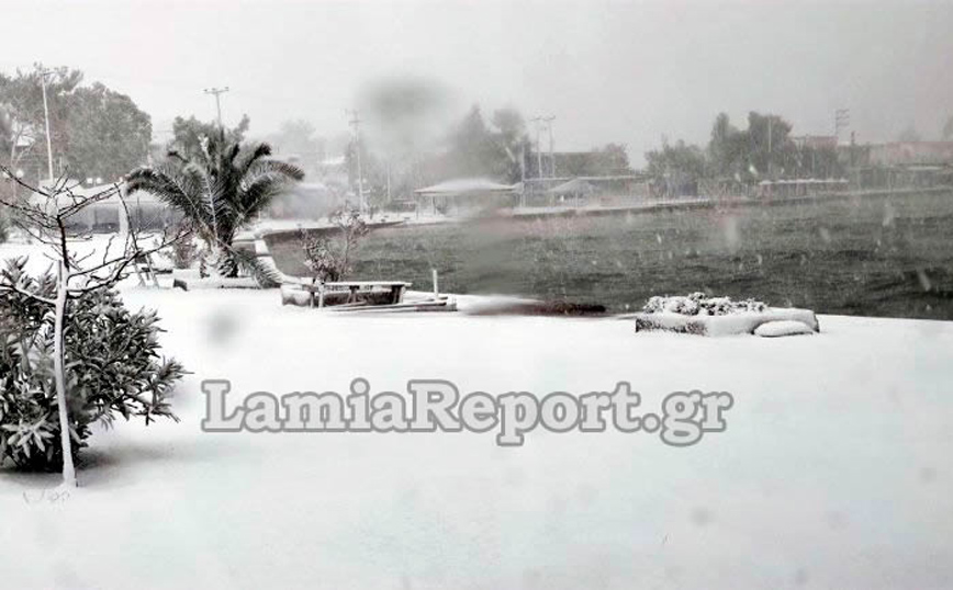 Πυκνό χιόνι ακόμη και στις βάρκες Πυκνό χιόνι ακόμη και στις βάρκες