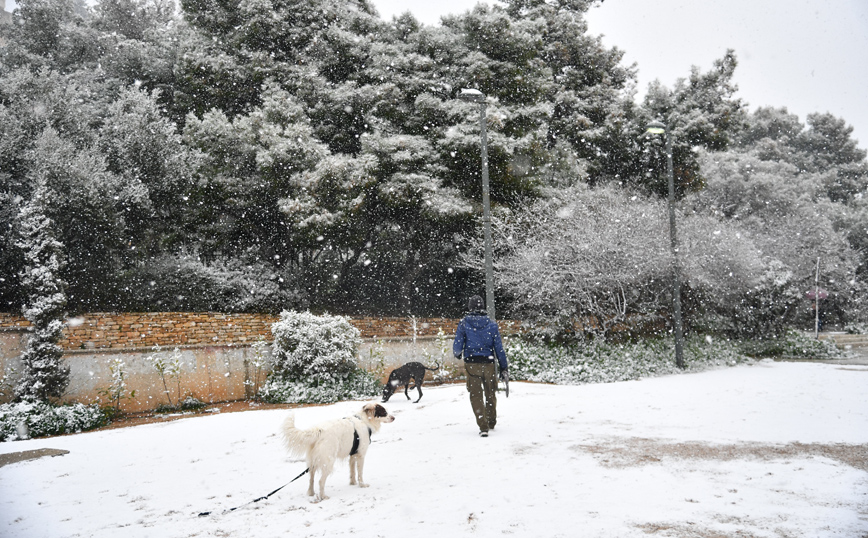 Κακοκαιρία Ελπίδα &#8211; Meteo: Από το 2008 είχε να πέσει τόσο χιόνι στην Αθήνα