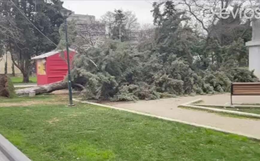 Χιόνια έφερε στον Έβρο η κακοκαιρία Διομήδης Χιόνια έφερε στον Έβρο η κακοκαιρία Διομήδης