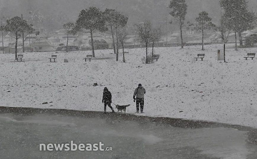 Χιόνια δίπλα στη θάλασσα στην Αττική Χιόνια δίπλα στη θάλασσα στην Αττική