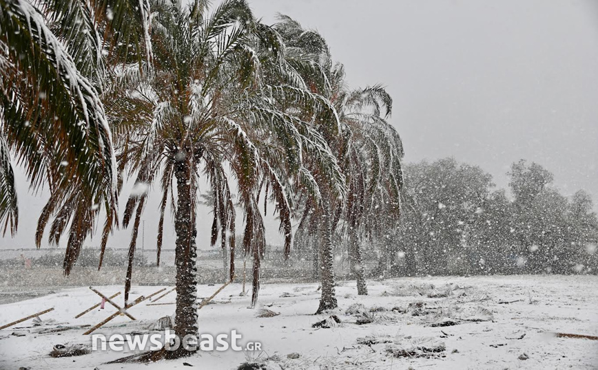 Χιόνια δίπλα στη θάλασσα στην Αττική Χιόνια δίπλα στη θάλασσα στην Αττική