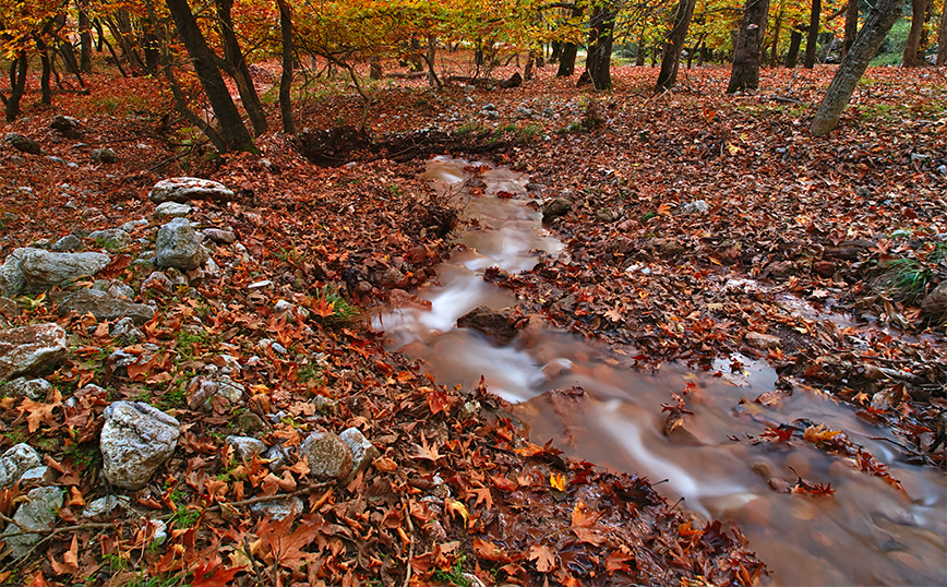 Φθινοπωρινό το σκηνικό στο Πλανητέρο Φθινοπωρινό το σκηνικό στο Πλανητέρο