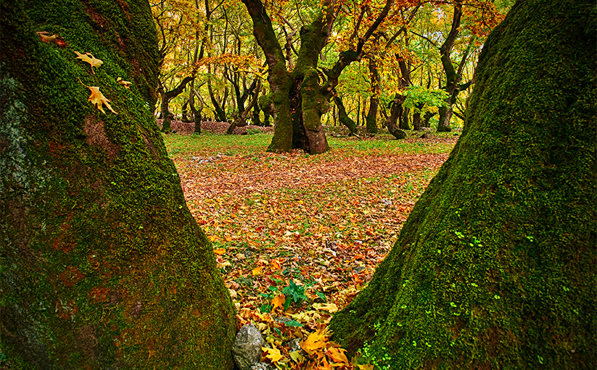 Εντυπωσιακό το σκηνικό στο Πλανητέρο Εντυπωσιακό το σκηνικό στο Πλανητέρο