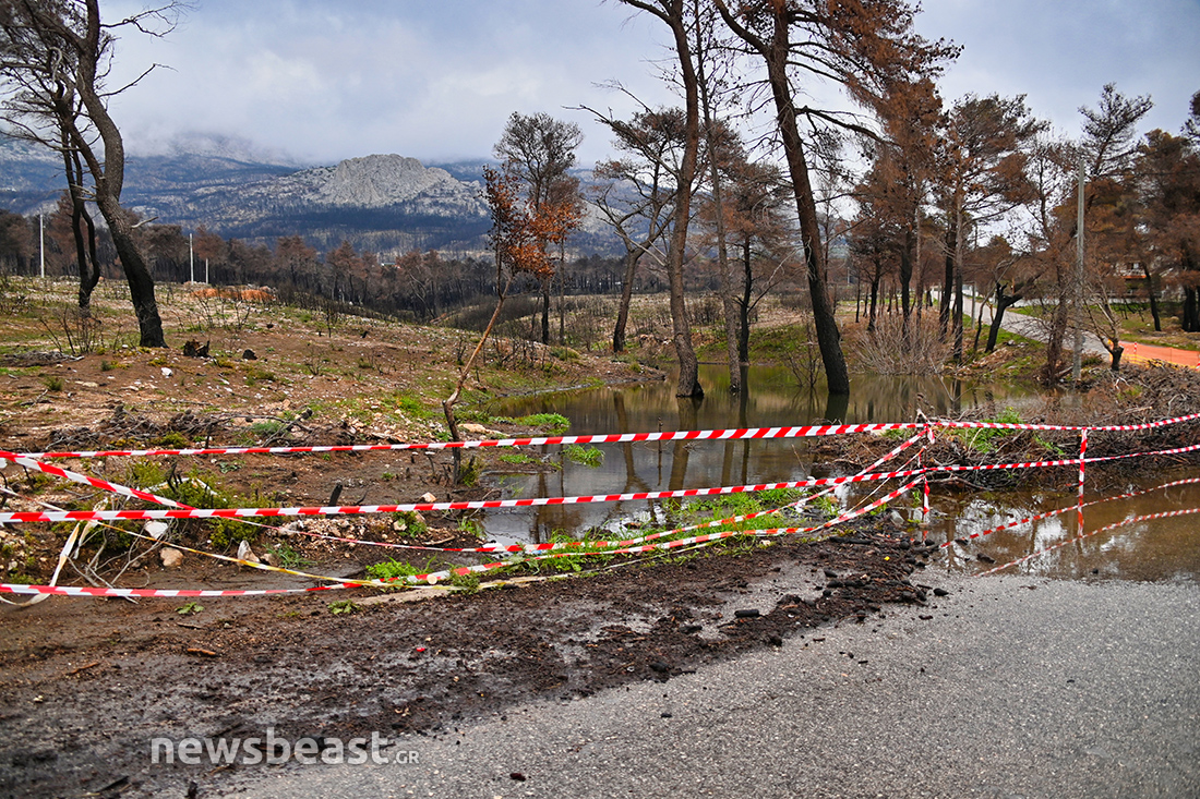 Βαρυμπόμπη καμένα Βαρυμπόμπη καμένα