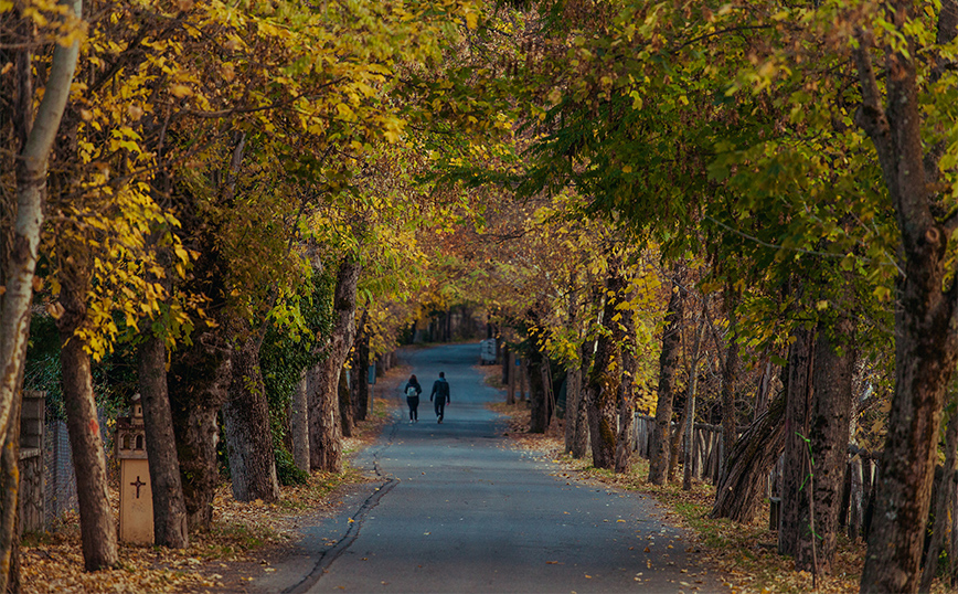 Ο δρόμος της αγάπης στη Βυτίνα Ο δρόμος της αγάπης στη Βυτίνα