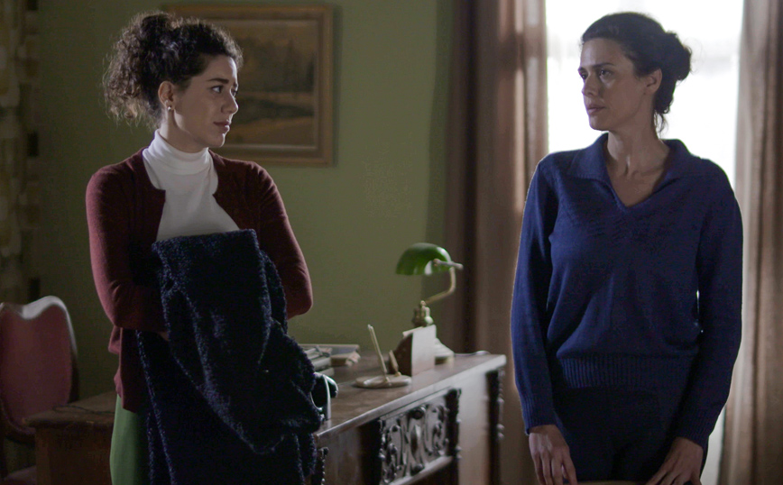 Άγριες Μέλισσες Άγριες Μέλισσες