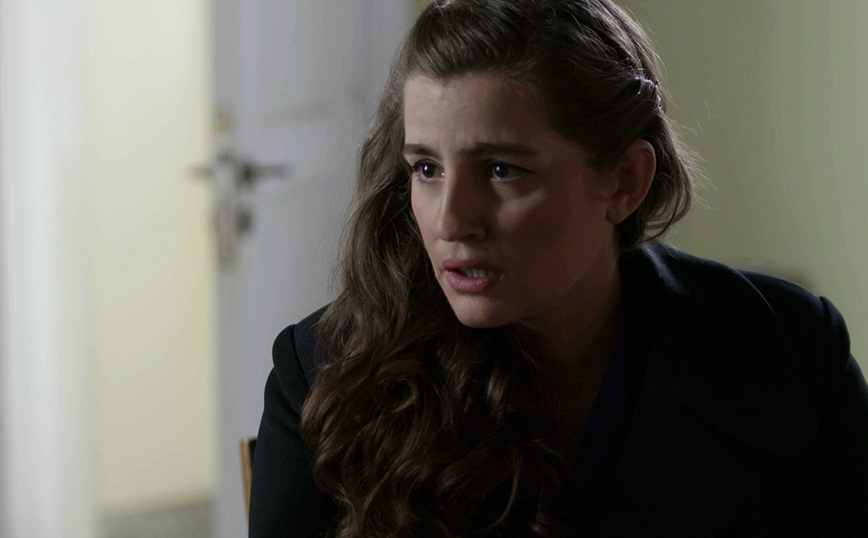 Άγριες Μέλισσες Άγριες Μέλισσες