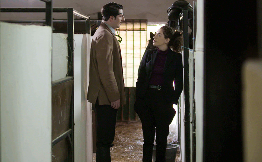 Άγριες Μέλισσες