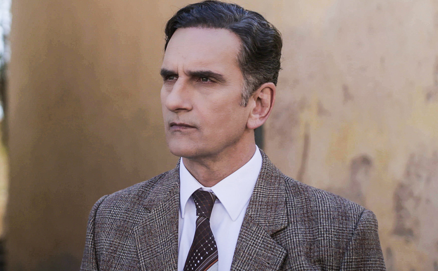 Άγριες Μέλισσες Άγριες Μέλισσες