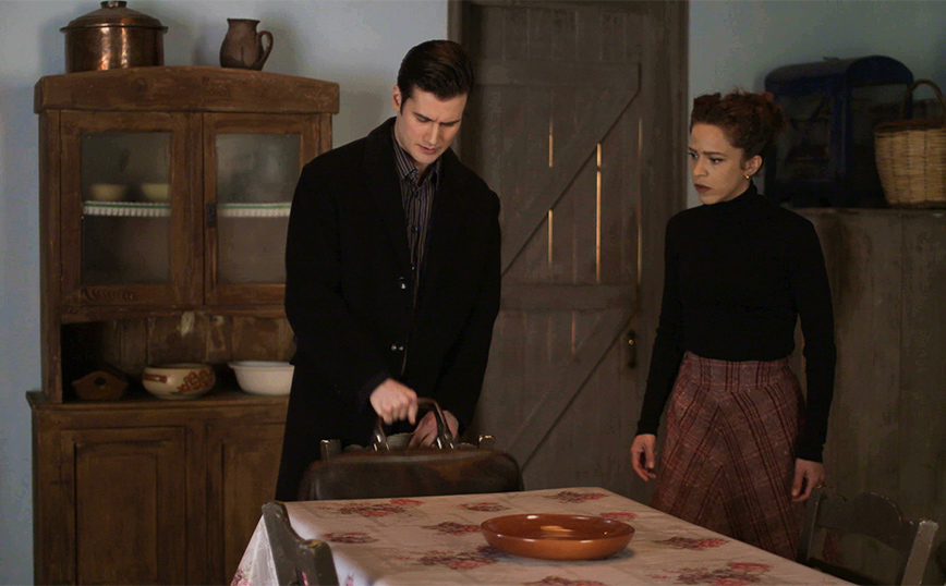 Άγριες Μέλισσες