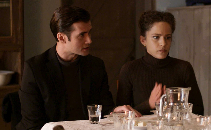 Άγριες Μέλισσες