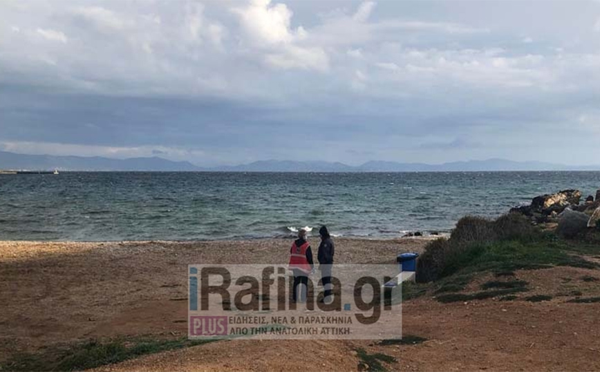 Σορός άντρα βρέθηκε σε παραλία της Ραφήνας – Στις τσέπες του είχε ένα σημείωμα