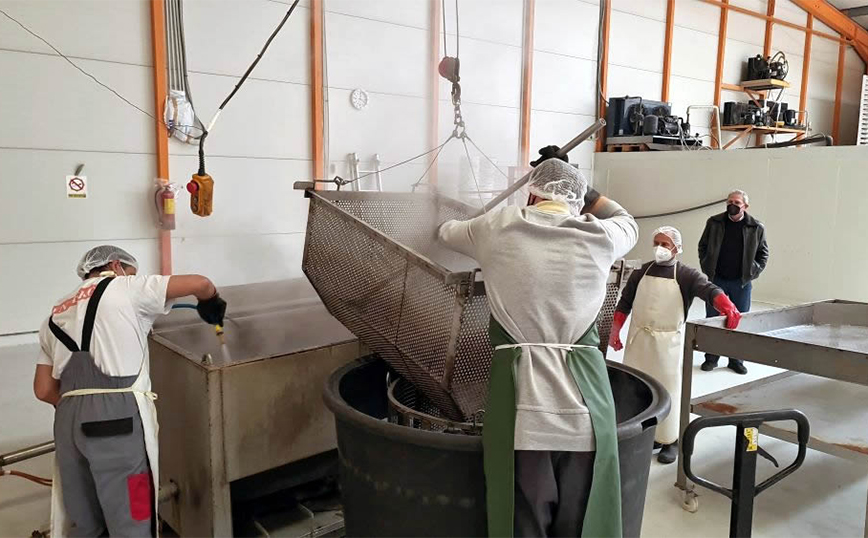 Τα ολοθούρια (αγγούρια της θάλασσας), που ταξιδεύουν, από τη Λαμία για τις κουζίνες των πιο διάσημων εστιατορίων της Κίνας και άλλων χωρών της Ασίας